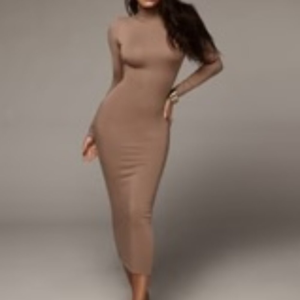 NWOT jluxlabel Mocha Janessa Double lined Turtleneck Dress - Medium